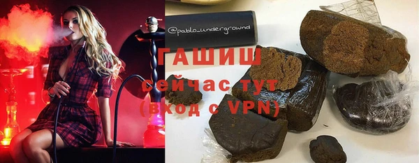 мет Алексин