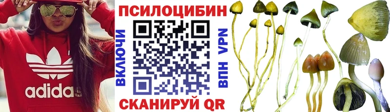 сколько стоит  Уварово  Псилоцибиновые грибы MAGIC MUSHROOMS 